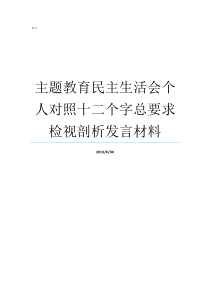 主题教育民主生活会个人对照十二个字总要求检视剖析发言材料班子主题教育检视剖析材料