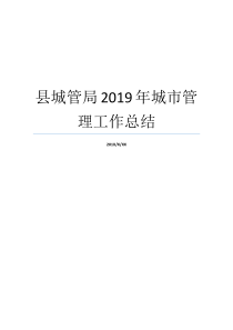 就业小结大城市管理方法县城管局新人