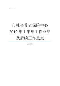 市社会养老保险中心2019年上半年工作总结及后续工作重点2019年个人养老保险交多少