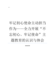 牢记初心使命主动担当作为全力开展不忘初心牢记使命主题教育的认识与体会坚守初心担当使命