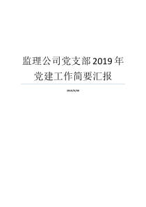 监理公司党支部2019年党建工作简要汇报支部党建工作公司党支部有什么用公司党支部有什么用