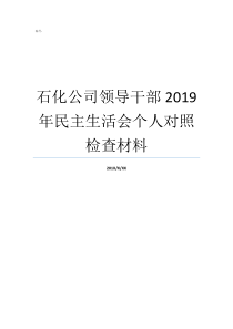 石化公司领导干部2019年民主生活会个人对照检查材料领导干部范围