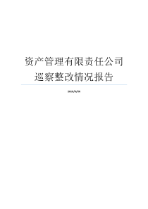 资产管理有限责任公司巡察整改情况报告资产自查情况报告