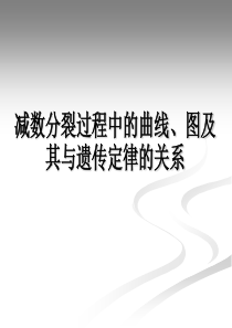 减数分裂过程中的曲线图及其与遗传定律的关系概述