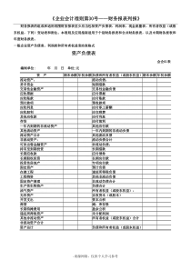 新会计准则全套报表模板