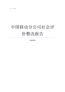 中国移动分公司社会评价整改报告