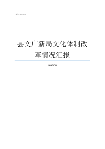 县文广新局文化体制改革情况汇报文体广新局