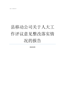 县移动公司关于人大工作评议意见整改落实情况的报告人大共管