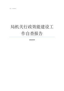 局机关行政效能建设工作自查报告机关工