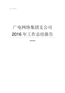 广电网络集团支公司2016年工作总结报告