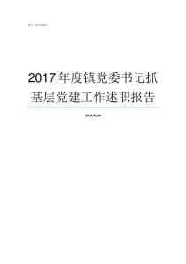 2017年度镇党委书记抓基层党建工作述职报告2017党委会议记录实例