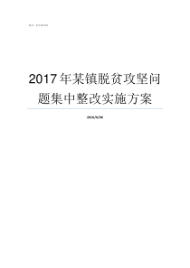 2017年某镇脱贫攻坚问题集中整改实施方案2017脱贫标准是多少