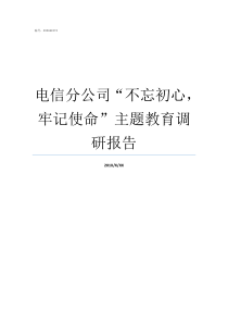 电信分公司不忘初心牢记使命主题教育调研报告不忘初心方得始终