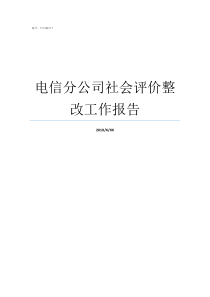 电信分公司社会评价整改工作报告