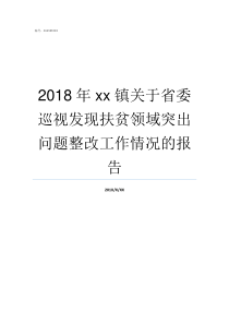 2018年xx镇关于省委巡视发现扶贫领域突出问题整改工作情况的报告