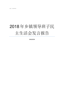 2018年乡镇领导班子民主生活会发言报告2018中央新一届领导班