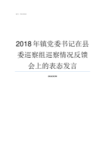 2018年镇党委书记在县委巡察组巡察情况反馈会上的表态发言