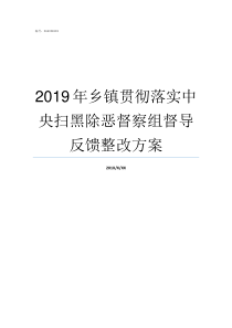 2019年乡镇贯彻落实中央扫黑除恶督察组督导反馈整改方案2019撤乡并镇