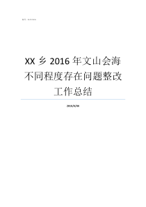 XX乡2016年文山会海不同程度存在问题整改工作总结