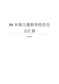 XX乡镇主题教育特色亮点汇报乡镇党建特色亮点工作