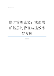 煤矿管理论文浅谈煤矿基层的管理与提效率促发展