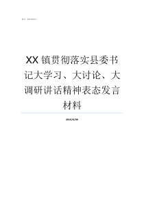 XX镇贯彻落实县委书记大学习大讨论大调研讲话精神表态发言材料