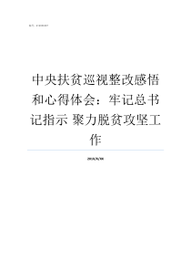 中央扶贫巡视整改感悟和心得体会牢记总书记指示nbsp聚力脱贫攻坚工作扶贫巡视整改报告