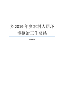 乡2019年度农村人居环境整治工作总结农村环境整治项目