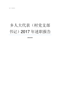 乡人大代表村党支部书记2017年述职报告乡是党委还是党支部