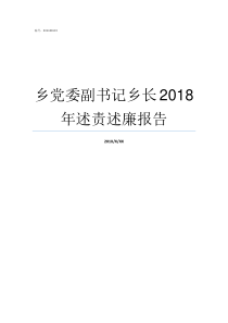 乡党委副书记乡长2018年述责述廉报告