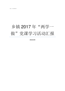 乡镇2017年两学一做党课学习活动汇报