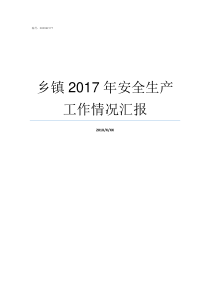 乡镇2017年安全生产工作情况汇报