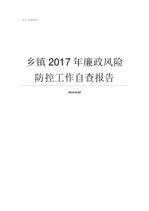 乡镇2017年廉政风险防控工作自查报告