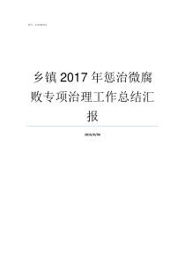 乡镇2017年惩治微腐败专项治理工作总结汇报