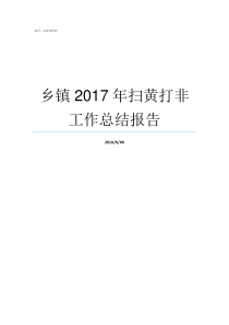 乡镇2017年扫黄打非工作总结报告