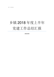 乡镇2018年度上半年党建工作总结汇报