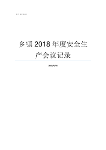 乡镇2018年度安全生产会议记录村2018年度安全总结