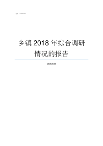 乡镇2018年综合调研情况的报告