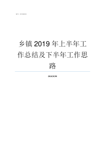 乡镇2019年上半年工作总结及下半年工作思路2019年上半年全国