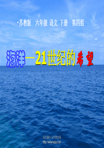 苏教版六年级下册语文《海洋――21世纪的希望》课件PPT