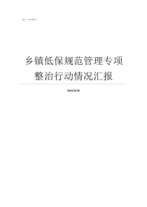 乡镇低保规范管理专项整治行动情况汇报农村低保专项