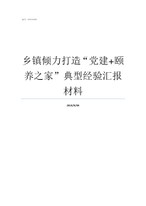 乡镇倾力打造党建颐养之家典型经验汇报材料乡镇党建办