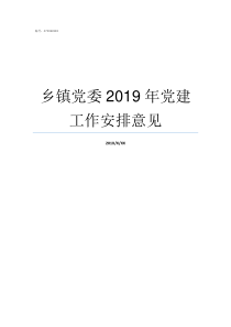 乡镇党委2019年党建工作安排意见2019年党的大事