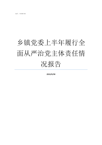 乡镇党委上半年履行全面从严治党主体责任情况报告乡镇党委一般