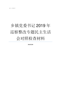 乡镇党委书记2019年巡察整改专题民主生活会对照检查材料上高乡镇党委书记名单