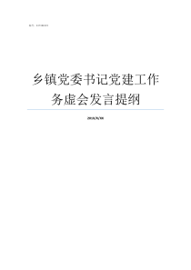 乡镇党委书记党建工作务虚会发言提纲