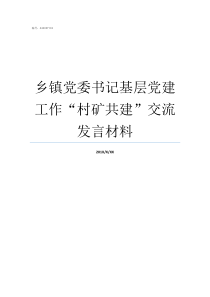 乡镇党委书记基层党建工作村矿共建交流发言材料乡镇党委书记上基层党建党课