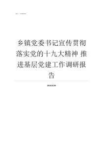 乡镇党委书记宣传贯彻落实党的十九大精神nbsp推进基层党建工作调研报告乡镇党委书记什么级别