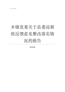 乡镇党委关于县委巡察组反馈意见整改落实情况的报告县委巡察乡镇党委巡察报告