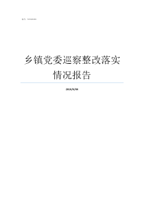 乡镇党委巡察整改落实情况报告县委巡察乡镇党委巡察报告